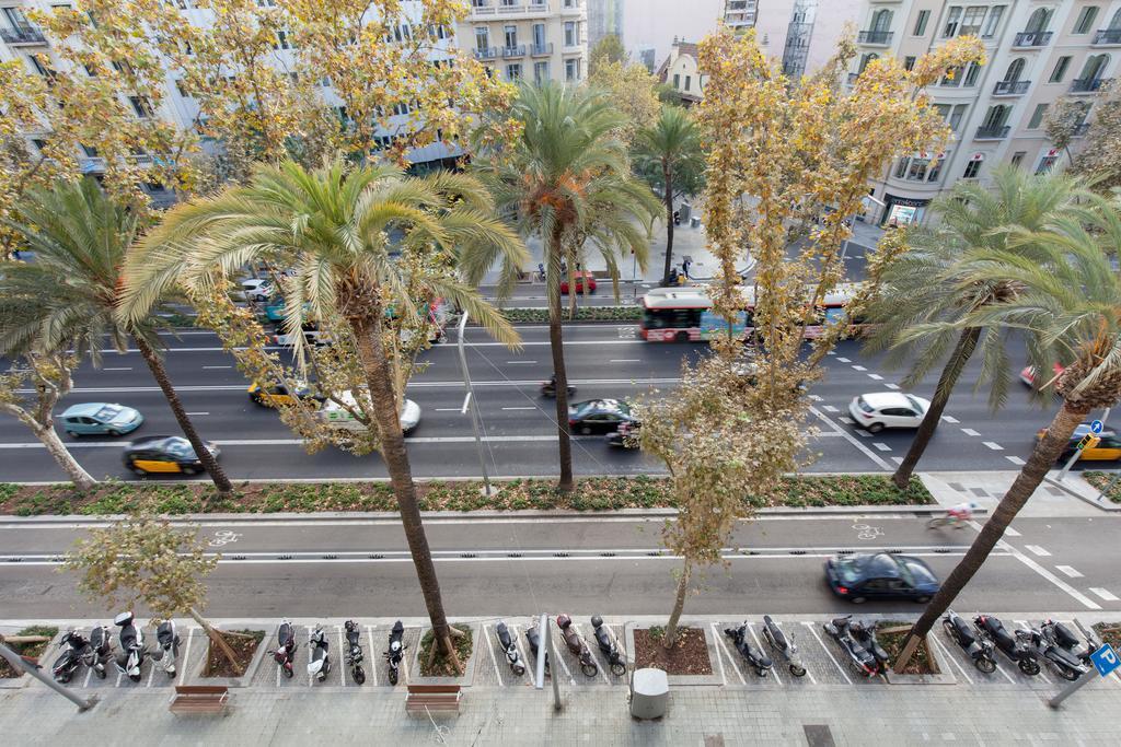 Affittacamere Diagonal *